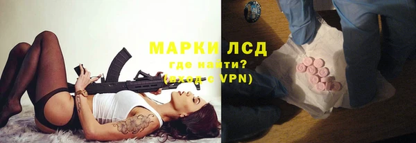 бошки Ладушкин