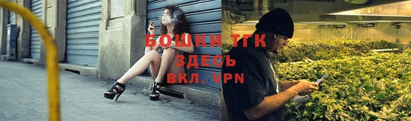 бошки Ладушкин