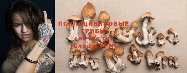 стаф Лагань