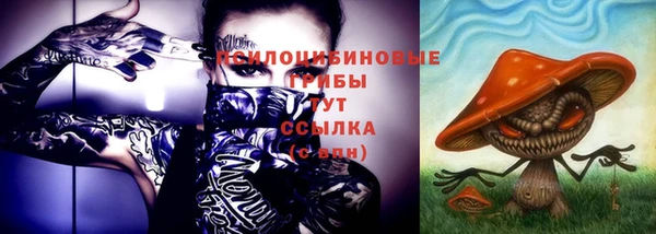 эйфоретик Лихославль