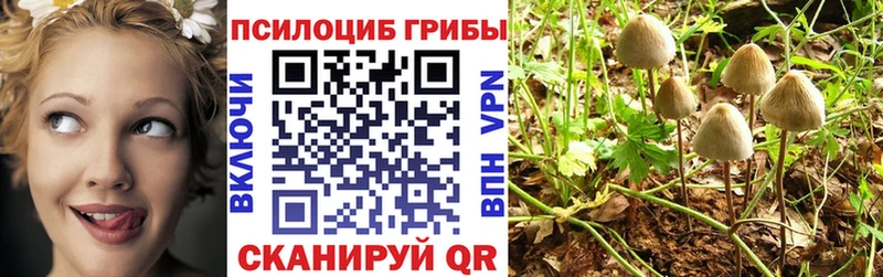 Псилоцибиновые грибы Cubensis  Красково 
